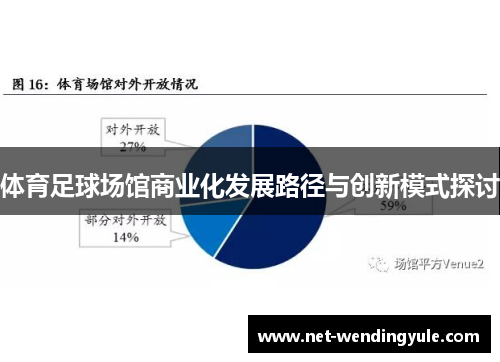 体育足球场馆商业化发展路径与创新模式探讨