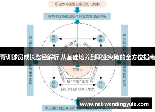 青训球员成长路径解析 从基础培养到职业突破的全方位指南