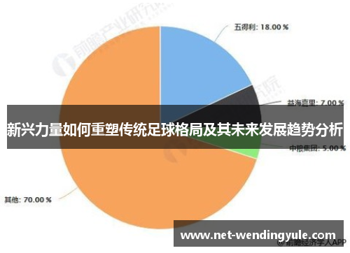 新兴力量如何重塑传统足球格局及其未来发展趋势分析