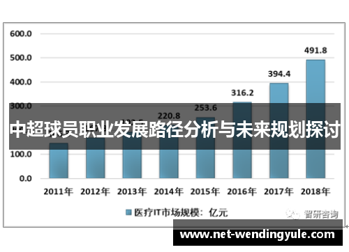 中超球员职业发展路径分析与未来规划探讨