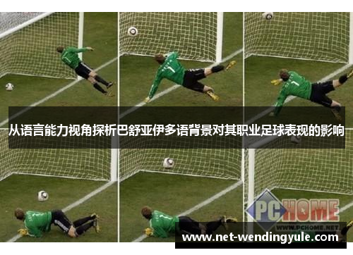 从语言能力视角探析巴舒亚伊多语背景对其职业足球表现的影响