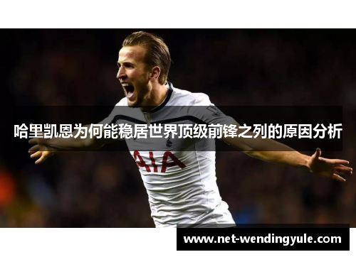 哈里凯恩为何能稳居世界顶级前锋之列的原因分析 哈里凯恩为何能稳居世界顶级前锋之列的原因分析