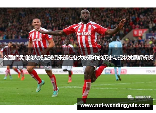 全面解读加的夫城足球俱乐部在各大联赛中的历史与现状发展解析探 全面解读加的夫城足球俱乐部在各大联赛中的历史与现状发展解析探